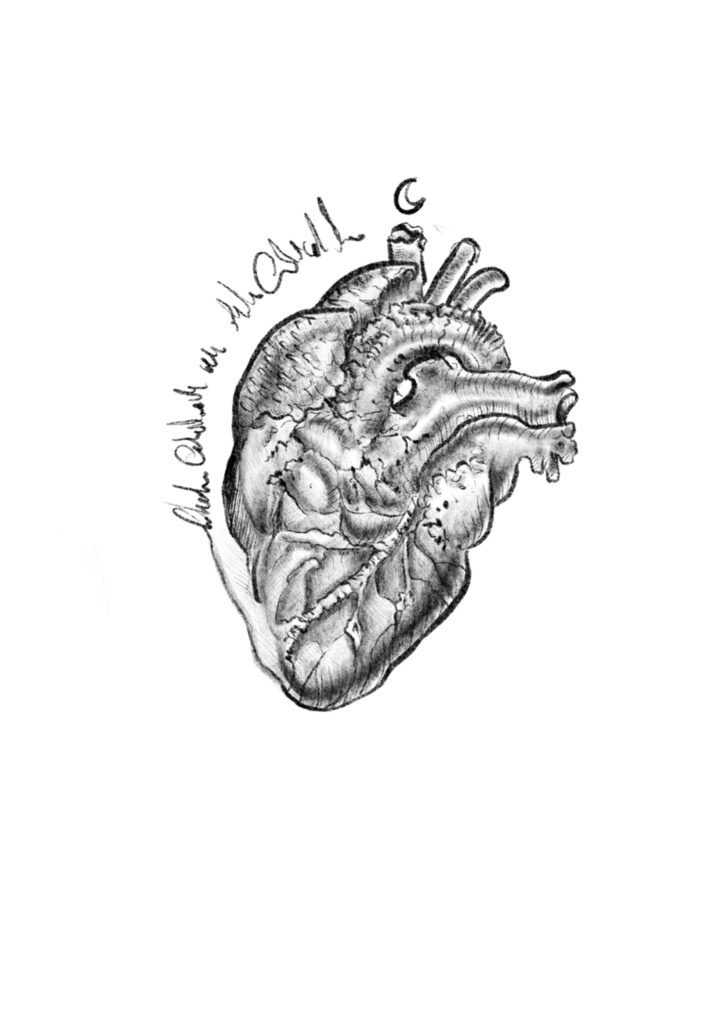 anatomic heart